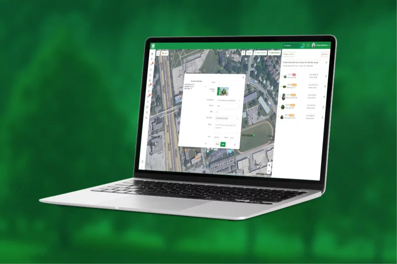 Conclusion: A Foundation for Responsible Growth