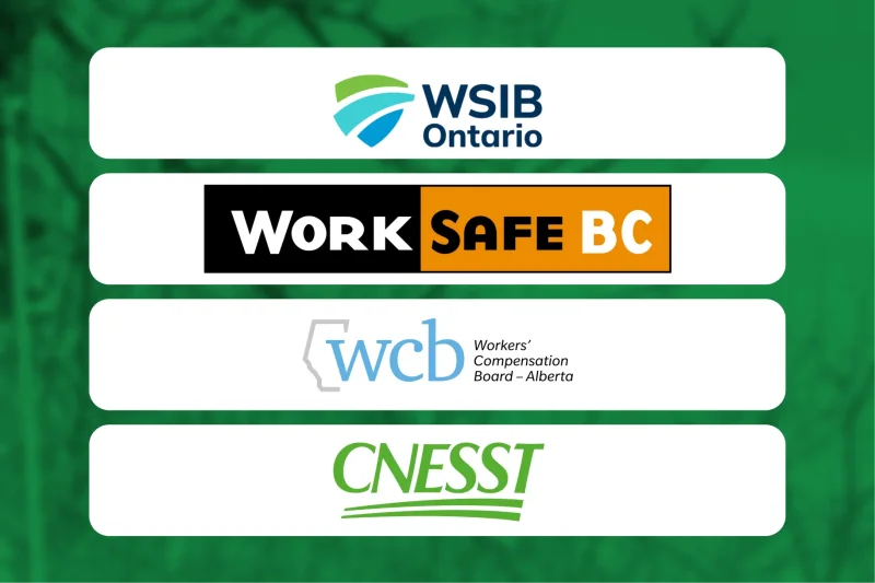Essential Tree Service Insurance Policies