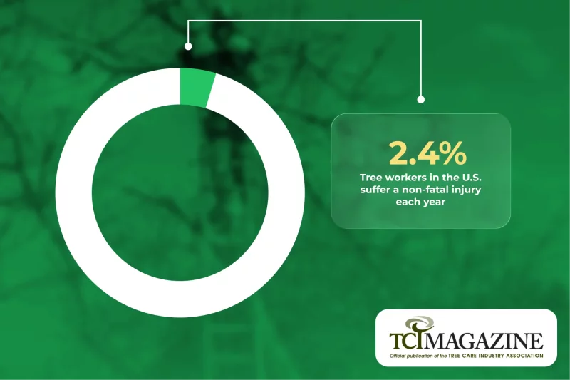 Tree Service Insurance Requirements by State and Operation Type