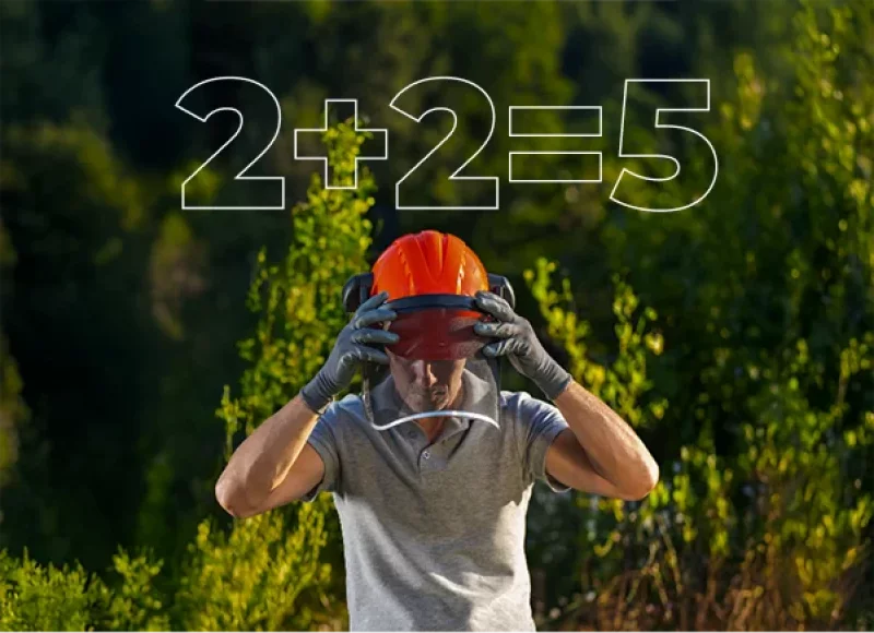 Common Tree Service Insurance Mistakes to Avoid