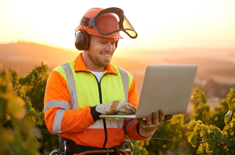 Choosing the Right SingleOps Alternative for Your Tree Care Business