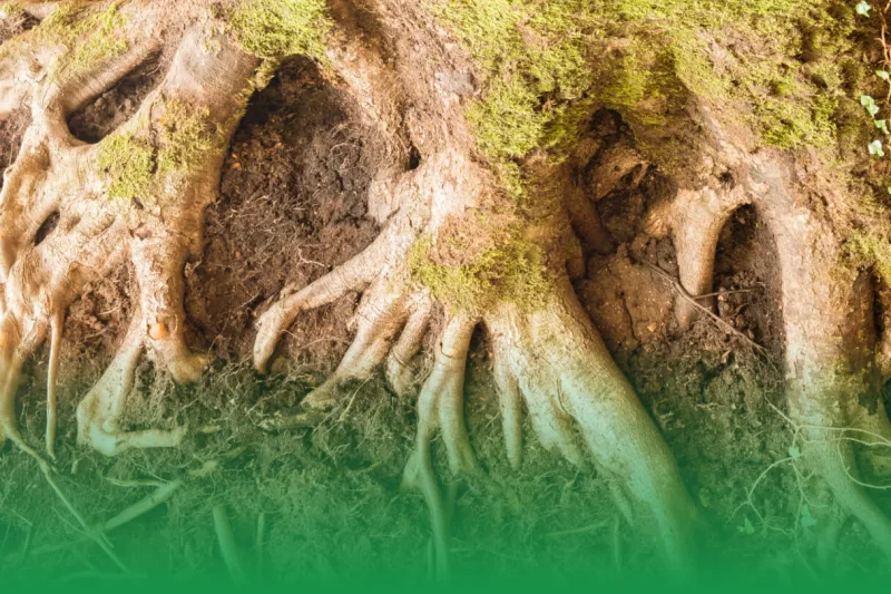 The Importance of Preparation