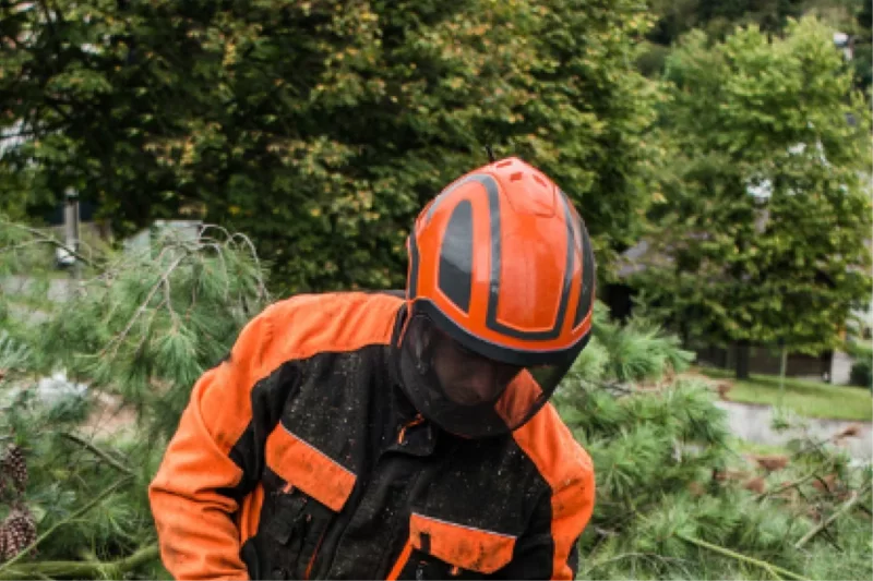 Personal Protective Equipment (PPE)