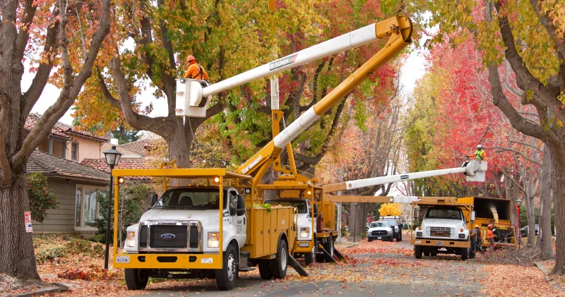 How to Choose the Right ArborNote Alternative for Your Tree Care Business