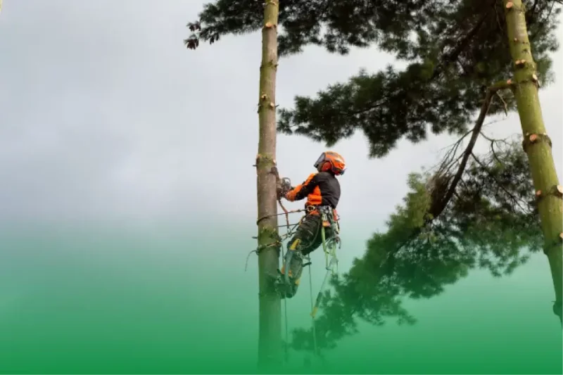 Better Service Through Improved Communication