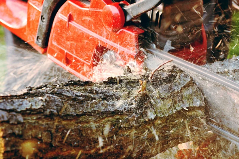 Climbing Rope: Your Lifeline in the Canopy