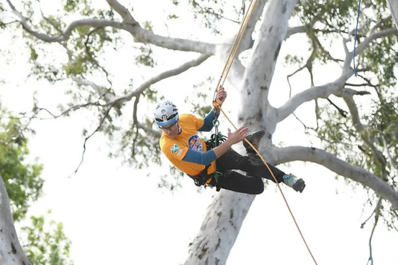 Australian Tree Climbing Championships (ATCC)