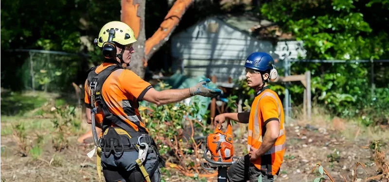 5. Referral Programs and Review Strategy