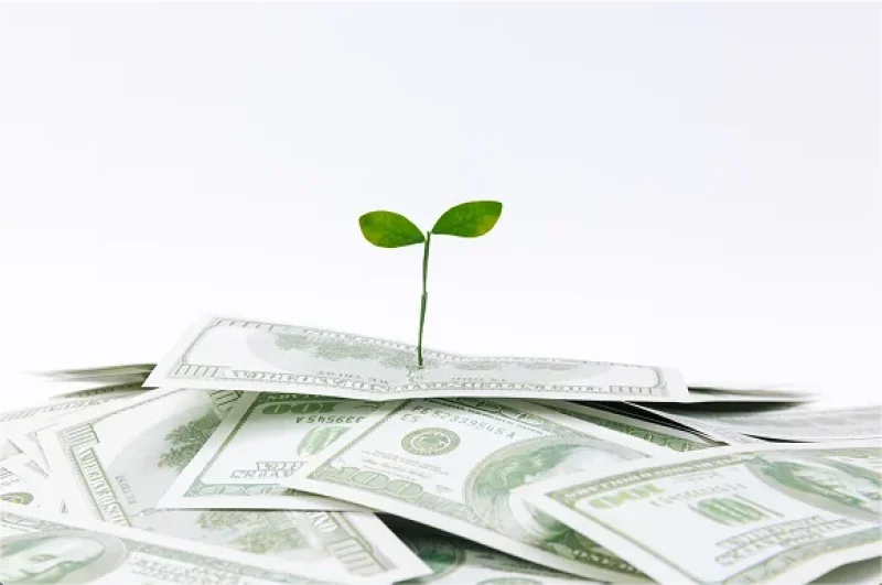 Final Thoughts: How Much Can You Really Make?
