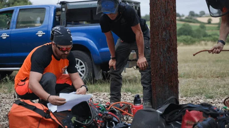 The Stakes Are Higher in Tree Care