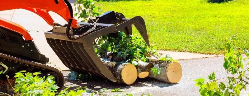 Is ISA Certification Worth It for Your Tree Care Business?