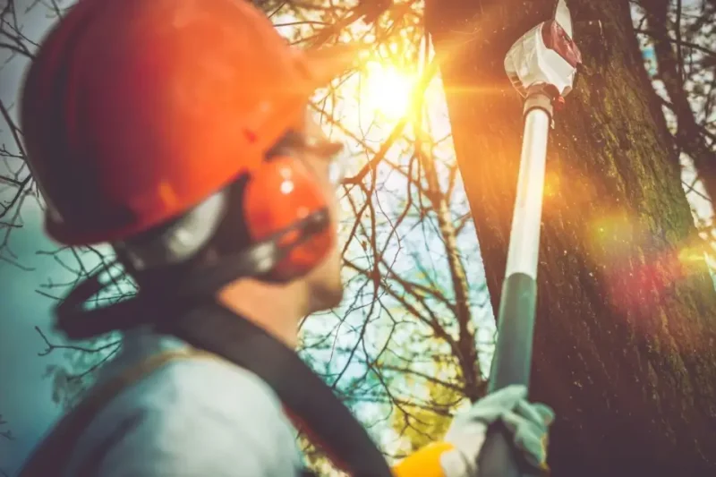 Por qué un casco estándar no es suficiente para el trabajo en árboles