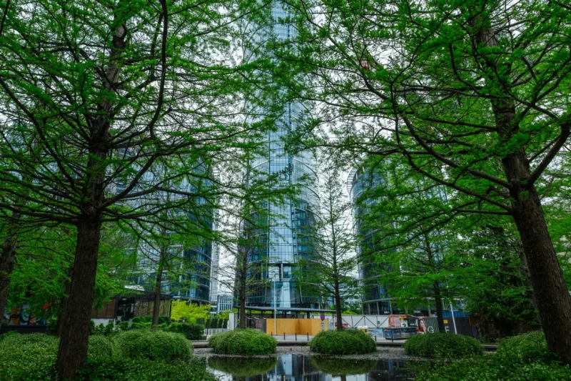 Strategies To Counter Negative Impacts Of Urbanization