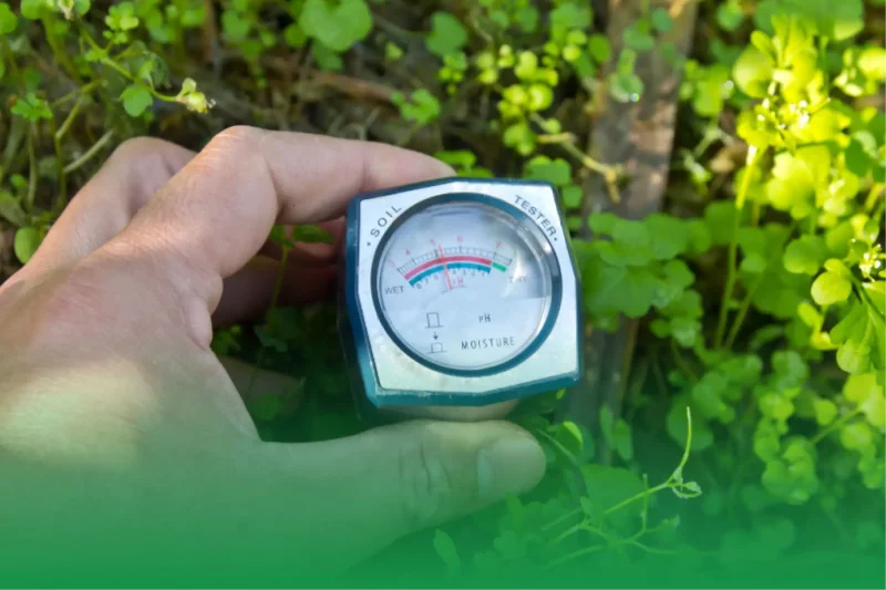 4. Advanced Soil Moisture Sensor Technology