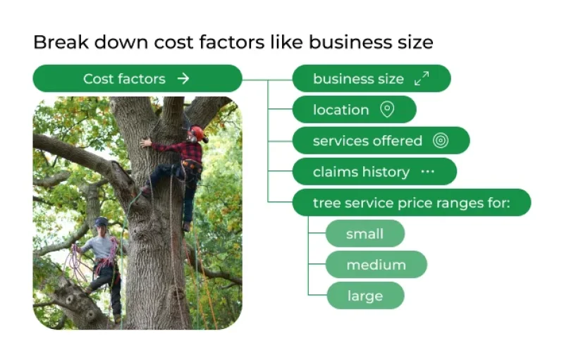 Tree Service Insurance Costs: What to Expect