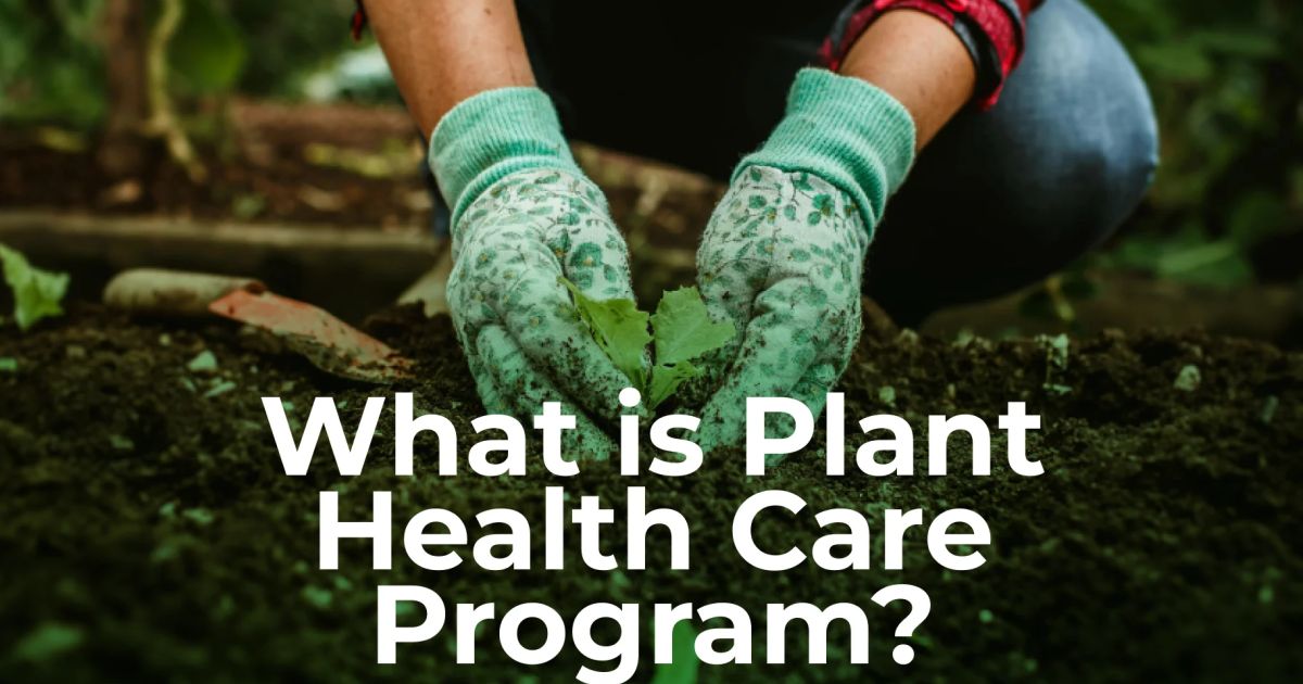 What is a Plant Health Care Program? | ArboStar