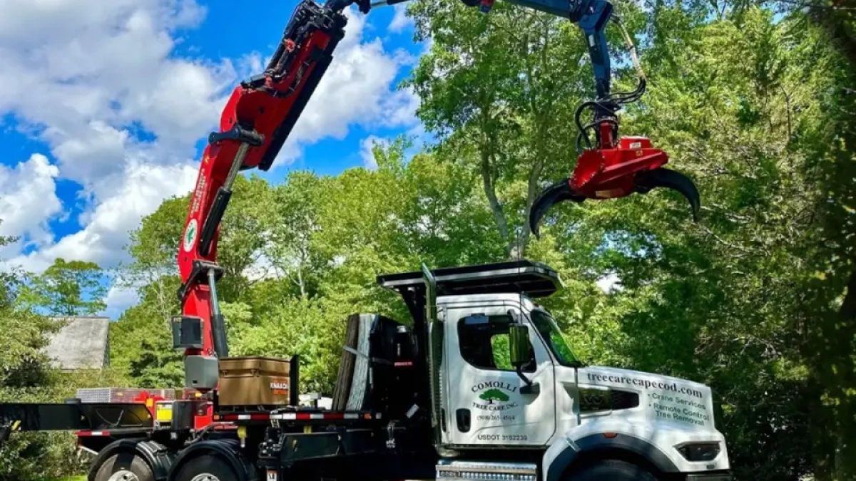 Rigging vs. Crane Removals: Guide for Arborists | ArboStar
