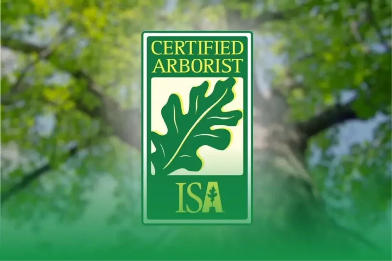 Adherence To Sustainable Ethical Practices