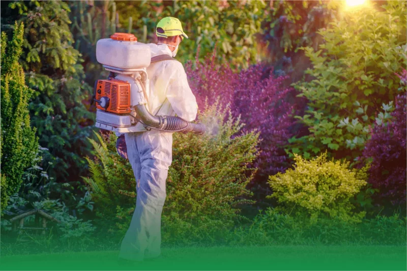 What Type Of License Does An Exterminator Require?