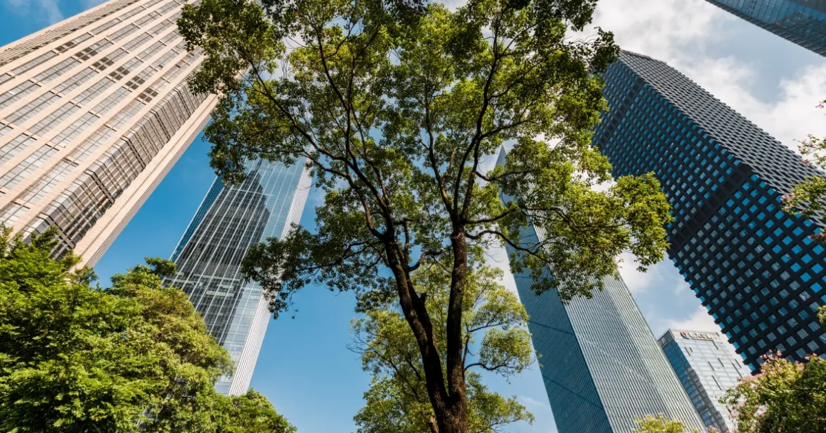 The Effect of Urbanization on Tree Health | ArboStar
