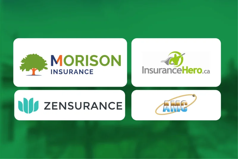 Choosing the Right Insurance Provider for Tree Services