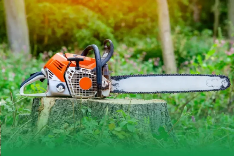 Quality Assurance and Reliability