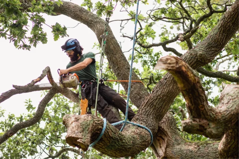 Ripstop Pants or Chaps: How to Get a Leg Up