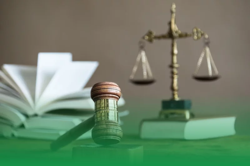 Liability in Tree Care