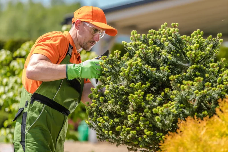 How Much Does Landscaping Cost Per Square Foot?