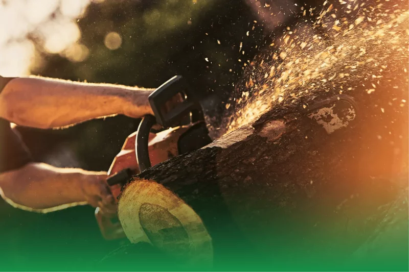 Streamlining Operations