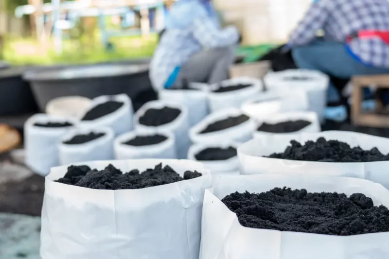 Integration of Biochar into Tree Care Practices