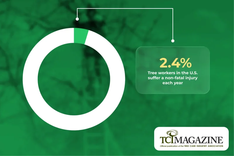 Tree Service Insurance Requirements by State and Operation Type