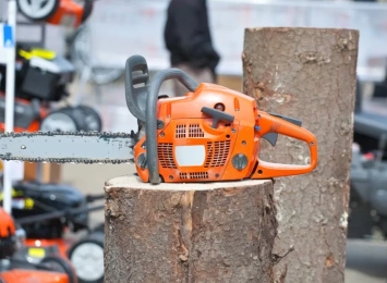 Arborist Tools and Equipment: A Comprehensive Overview