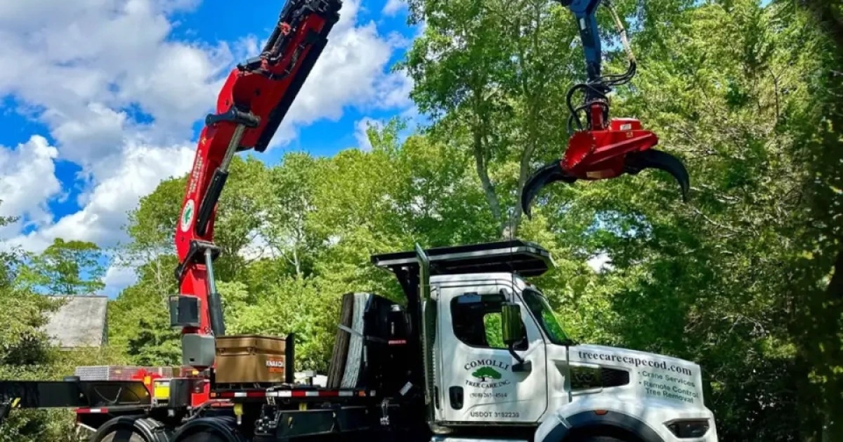 Rigging vs. Crane Removals: Guide for Arborists | ArboStar