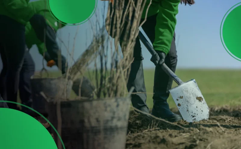 Sustainability and Community Engagement