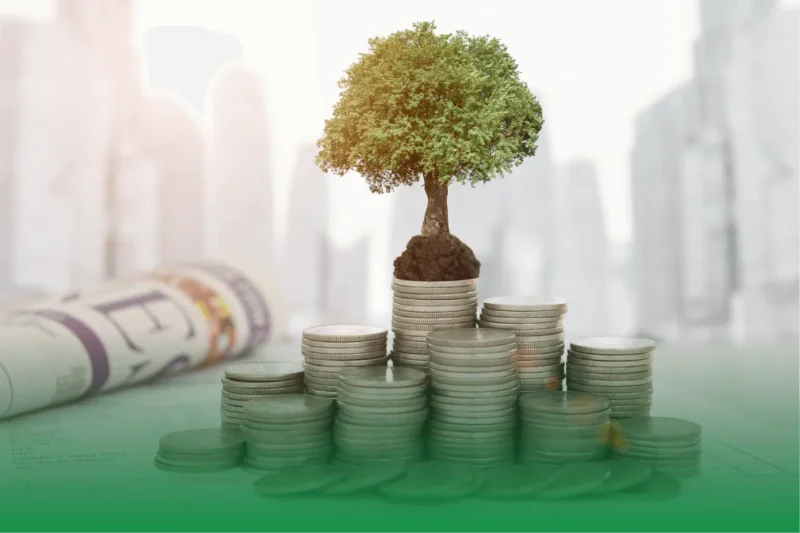 Financial Health Check