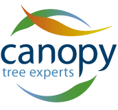 Canopy Group