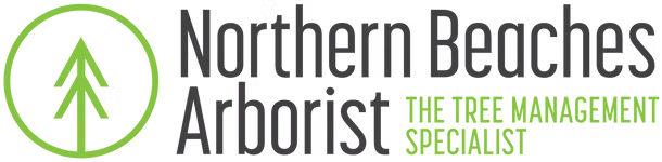 Northern Beaches Arborist
