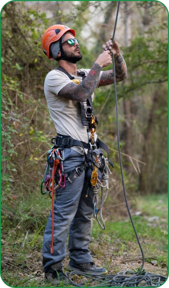 Arborists preparation work