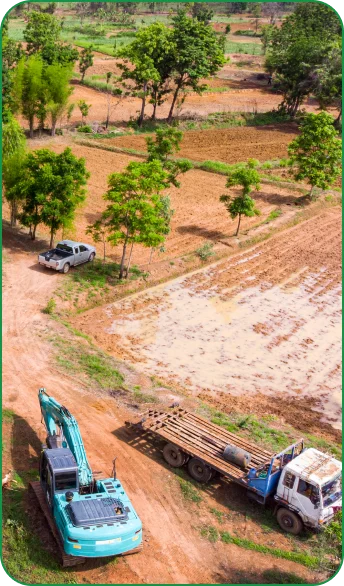 Big tree company