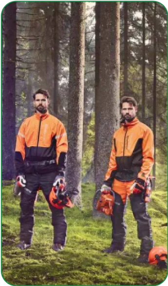Arborists team