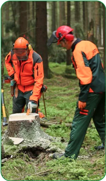 Arborists team 2