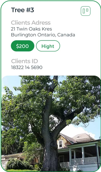 ArboStar tree