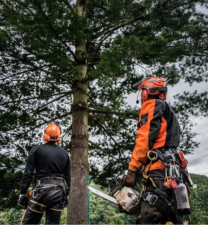 Arborists